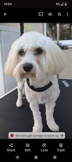 This weeks grooms Stephanie Hyde