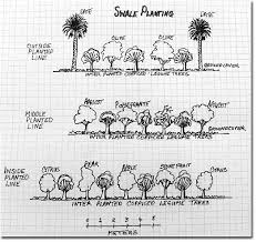 Recommended fruit tree spacing and mature height. Planting Distance Between Dwarf Fruit Trees