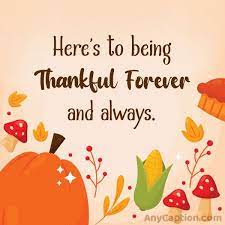 185 Thanksgiving Captions And Quotes Anycaption