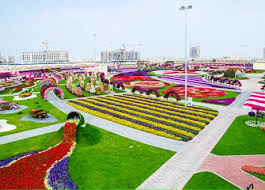 500 Miracle Garden Dubai Garden Flower Garden