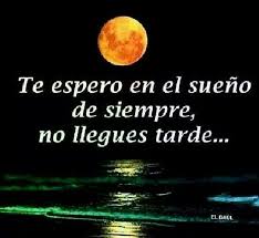 Pin On Amor Love