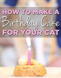 How To Make A Birthday Cake For Your Cat Birthday Cake For Cat Cat Recipes Cat Birthday