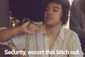 Pin By Melania Sosa On Memes In 2020 Harry Styles Memes Harry Styles Snapchat One Direction Memes