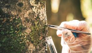 Fulbright Scholar Program Workshop