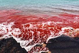 We did not find results for: Hormuz Island The Rainbow Island In The South Of Iran