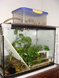 Diy vivariums for various plants & animals. Pin On Pet Stuff