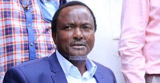 Besides kalonzo, mudavadi and odinga, deputy president william ruto is also considered a front runner in the race to succeed president kenyatta in 2022. Dci Clears Kalonzo Of Nys Land Grabbing Allegations