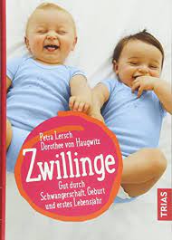 Zwillingsschwangerschaft Zwillingsratgeber