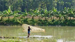 India Issues And Priorities For Agriculture