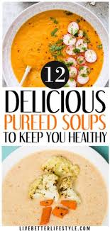 Saute, simmer in broth until very tender, and puree using an immersion blender. These Delicious Pureed Vegetable Soup Recipes Is What You Need To Keep You H Vegetable Soup Recipes Healthy Vegetable Soup Healthy Pureed Vegetable Soup Recipe