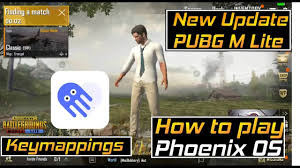 سیستم عامل phoenix os را ببینید. Phoenix Os Phoenix Os Versions Mods