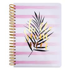 Descubra planta de cactus o succulento con imágenes de stock en hd y millones de otras fotos, ilustraciones y vectores en stock libres de regalías en la colección de shutterstock. Office Depot Cuadernos Libretas Y Blocks Office Depot Mexico