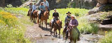 We did not find results for: Blue Bell Lodge At Custer State Park Resort Black Hills Badlands South Dakota