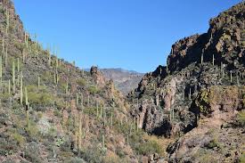 Hd Wallpaper Arizona Cactus Desert Landscape Nature Southwest Mountain Wallpaper Flare