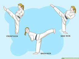 Check spelling or type a new query. How To Understand Basic Karate 10 Steps With Pictures Wikihow