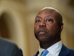 Fuji Finance to shut down over inability to raise funds