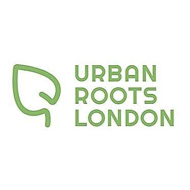 URBAN ROOTS LONDON — VERGE Capital