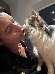 🙏🏼🙏🏼🙏🏼REMI'S BEEN FOUND 🙏🏼🙏🏼🙏🏼 Omg! We found her near the 1st  stop.corner shop