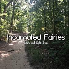 Incarnated Fairies Dark And Light Traits Light In The Dark In This Moment Fairy