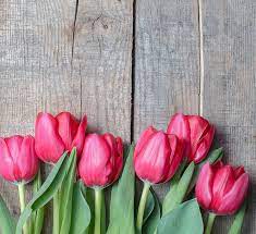 10 Weird Facts About Tulips Teleflora Pansies Flowers Tulips Flowers Flower Wallpaper
