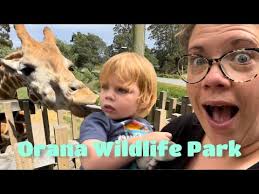 Kinley and Monty's World