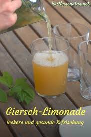 Erfrischende Gierschlimo Fur Den Sommer In 2020 Giersch Giersch Rezepte Durstloscher