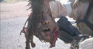 Nikki catsouras accident photos, nikki catsouras car crash photos, nikki catsouras crash photos, nikki catsouras death pictures, nikki catsouras pictures. Nikki Catsouras Accident Photos Porsche 911 Gt2 Rs Crash At 160 Mph Autoevolution Crime Scene Photos Nikki Catsouras Destinyp Median