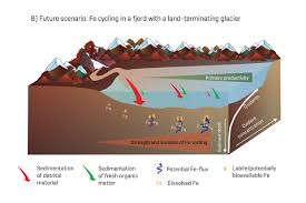 Sedimentation, in earth's geological science, is the process of depositing a solid the sedimentation process has been known for a long time. Sediments Are Nutrient Mediators In Arctic Fjords Geomar Helmholtz Zentrum Fur Ozeanforschung Kiel