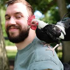 Adam Chaffee (@chaffeeadam) • Instagram photos and videos