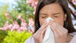  Tree Pollen Surging Locally - No Relief In Site For Allergy Sufferers