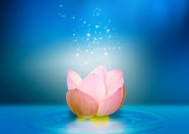 ãæ³¥ä¸­ã®è®ãã®ç»åæ¤ç´¢çµæ