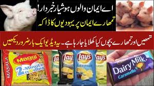 All food are considered halal except the following (which are haram). Daily Products From Pig Fat What Are E Ingredient Codes Urdu Channel Youtube
