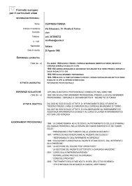 Cv europass da compilare in word e valido in l'unione europea! Il Curriculum Vitae Cv Or Resume
