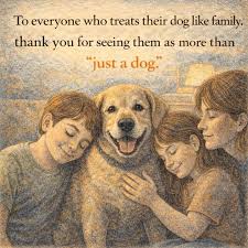 Treating a dog as a true family member changes everything about the home environment. We recognize that these animals are far more than just pets; they are soulful companions. Thank you to