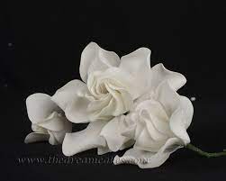 Gumpaste Flowers Gumpaste Gardenias Serene And Beautiful Gum Paste Flowers Flowers Sugar Paste Flowers