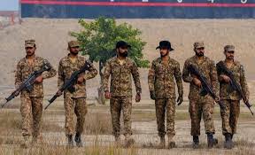 Pin By Hs Hassan On Army In 2020 Paks Painting Art