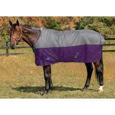 A horse blanket will provide your horse with effective insulation when the temperature drops low. Northwind By Rider S International Plus Medium Weight Turnout Blanket Dover Saddlery