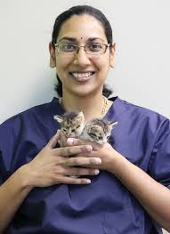 Meet the Bellville Team