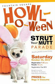 Shelter Fundraiser Animal Shelter Fundraiser Animal Rescue Fundraising Dog Fundraiser