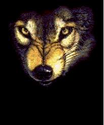 Maybe you would like to learn more about one of these? Wolves Animated Images Gifs Pictures Animations 100 Free