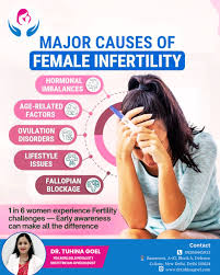 Image result for Female Infertility
