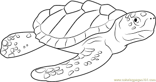 Turtle coloring pages coloring book art doodle coloring colouring pages coloring pages for kids coloring stuff turtle images printable coloring coloring is not just for kids, get some colored pencils and markers and go to town. Logger Head Sea Turtle Coloring Page For Kids Free Turtle Printable Coloring Pages Online For Kids Coloringpages101 Com Coloring Pages For Kids