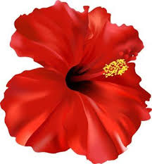 Pin On Pintura En Tela Flores
