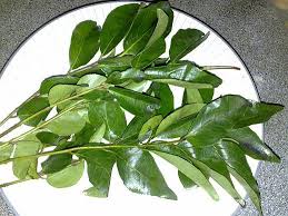 Antara kandungan nutrisi daun kari ialah karbohidrat, protein, serat, vitamin a, vitamin b, vitamin c, vitamin e, kalsium, magnesium dan zink. Beli Daun Salam Koja Daun Kari Dimana Kaskus