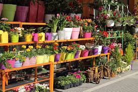 Check spelling or type a new query. 12 Best Online Gardening Stores To Bookmark Now Trees Com