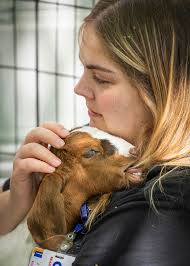 ICYMI: The Penn State College of Medicine Class of 2025 made it official