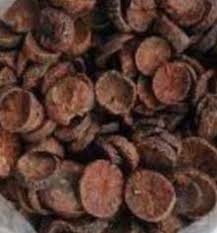 Image result for Ricinodendron