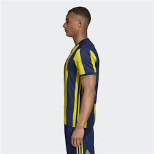 Keyi̇fli̇ ve eğlenceli̇ bi̇r yaz i̇çi̇n fenerbahçe spor okullari summer school. Adidas Cubuklu Fenerbahce Formasi Cg0683