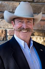 Citizens for Ken Brownlee, Mesa County