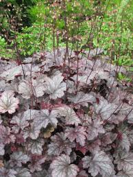 Otto versand gutscheincodes / rabatte werden für sie angesammelt, sie können bis zu 50% beim einkaufen auf ottoversand.at sparen. 25 Neu Otto Versand Garten Garten Deko